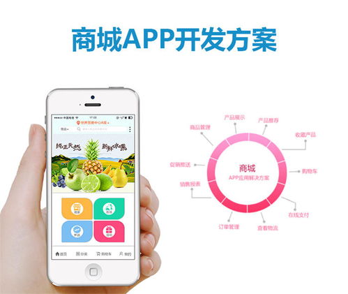 杰里顧客至上 東莞Vue App開發與全方位技術服務